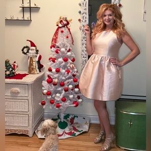 Kate Spade Baby Pink Satin Dress 👗